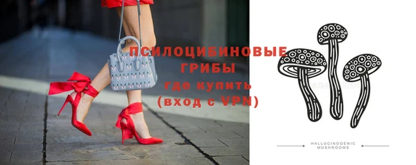 дмт Елабуга
