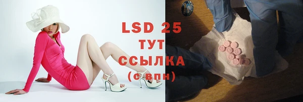 дмт Елабуга