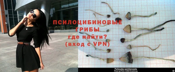 МДПВ Елизово
